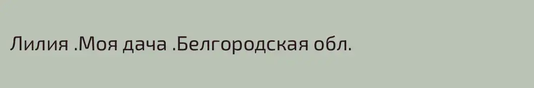 Лилия .Моя дача .Белгородская обл.